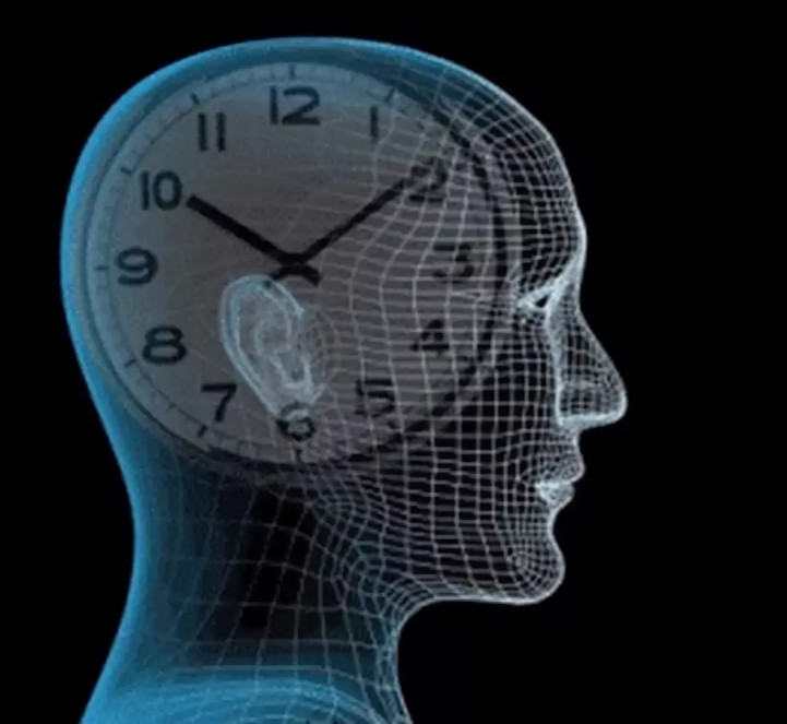 У каждого человека есть свои биологические часы, которые реагируют на смену дня и ночи