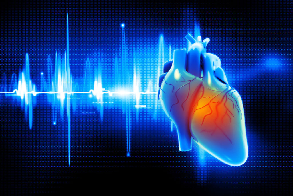 Благодаря специальным клеткам и собственной электропроводящей системе сердце работает в определенном ритме и последовательности