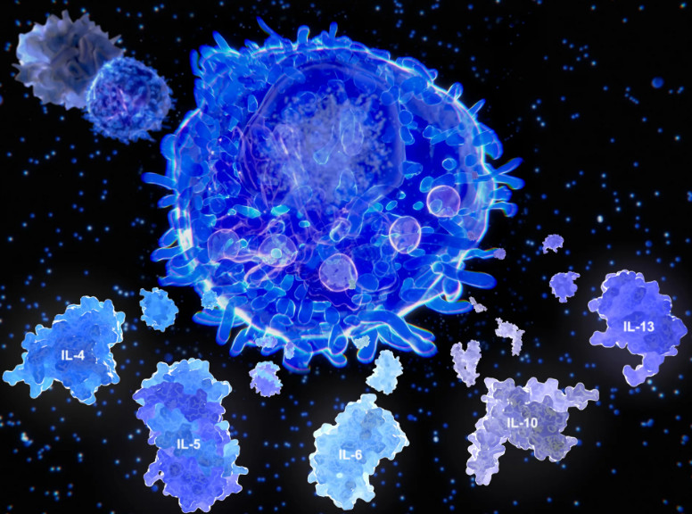 Цитокины атакуют клетки, пораженные вирусом