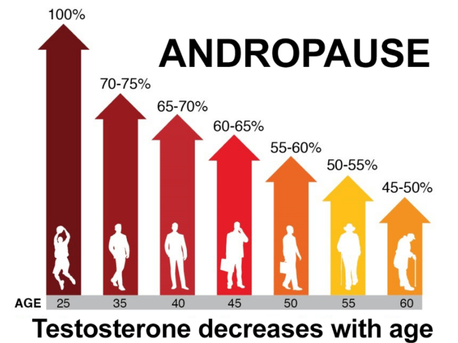 Количество тестостерона у мужчин снижается с возрастом